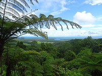DSC00827
