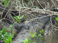 DSC00766