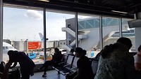 The plane, the plane....!!!