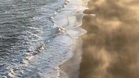 Golden hour Dyrhólaey mét puffins ❤️