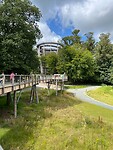 Op naar de viewing tower