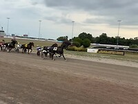 Paardenraces Old Home Week