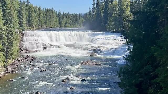 Dawson falls