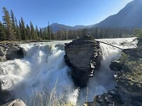 Athabaska Falls