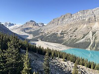 Peyto gletsjer
