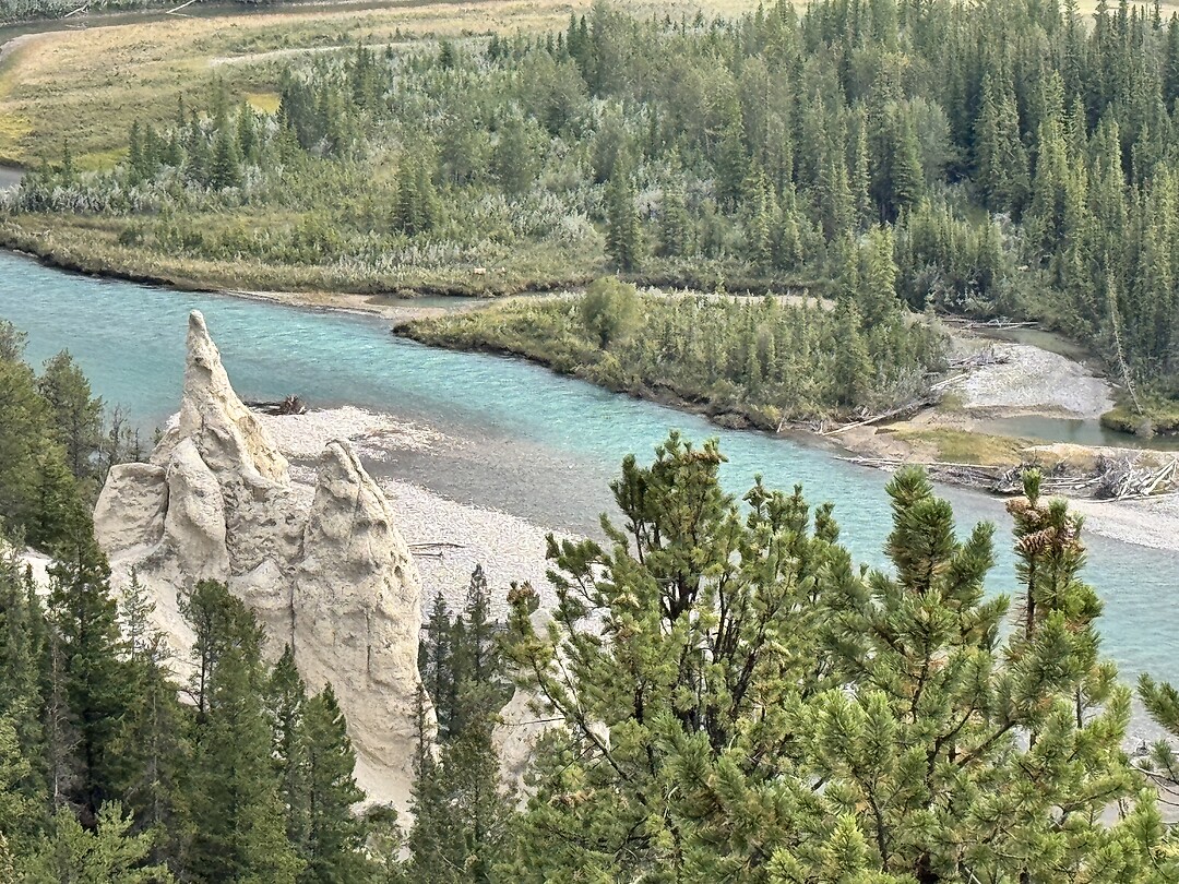 Links de Hoodoo’s (rotspilaren), beneden Bow Valley