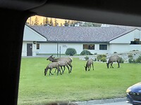 IMG_9848