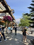 Banff Avenue