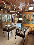 Banff Park Museum