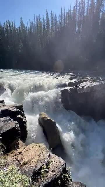 Sunwapta falls