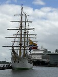 Mooi schip en zo zie je de grootte van de Nieuw Statendam
