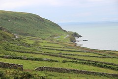 IMG_1709