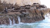 MVI_2906