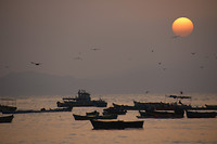 IMG_6745