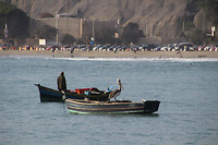 IMG_6696