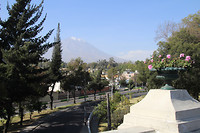 IMG_6893