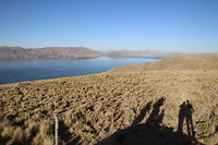 IMG_7111