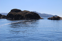 IMG_7213