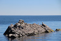 IMG_7216