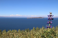 IMG_7227