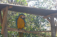 P1050139