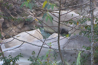 P1050248