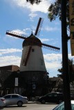 IMG_2605