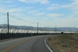 IMG_2633
