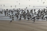 IMG_2673