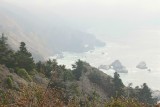 IMG_2795