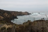 IMG_2809