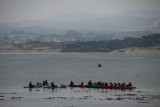 IMG_2830