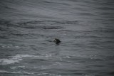 IMG_2847