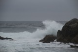 IMG_2858