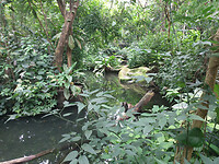 IMG_20220604_132132013
