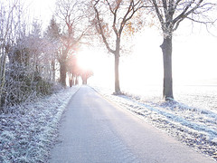 20161204_093333