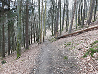20170227 Prachtige paden richting Einruhr