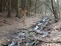 20170227 Bergbeken