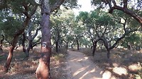 20180919_082251