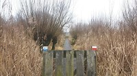 20190104_145832