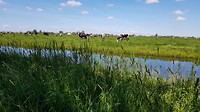 20190513_134155