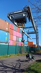 Containerbegrip