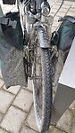 Muddy (2)