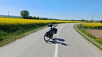 1000075607