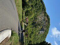 IMG_4504
