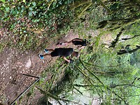 IMG_7835