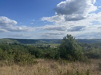 IMG_8066