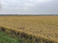 IMG_4923