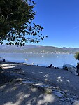 IMG_4950