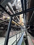 IMG_4996